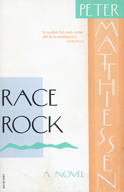 Race Rock book cover