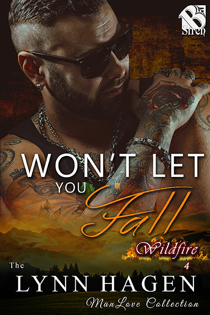 Won't Let You Fall book cover