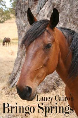 Bringo Springs book cover