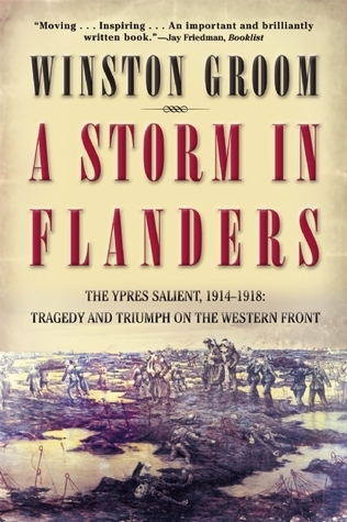 A Storm in Flanders book cover