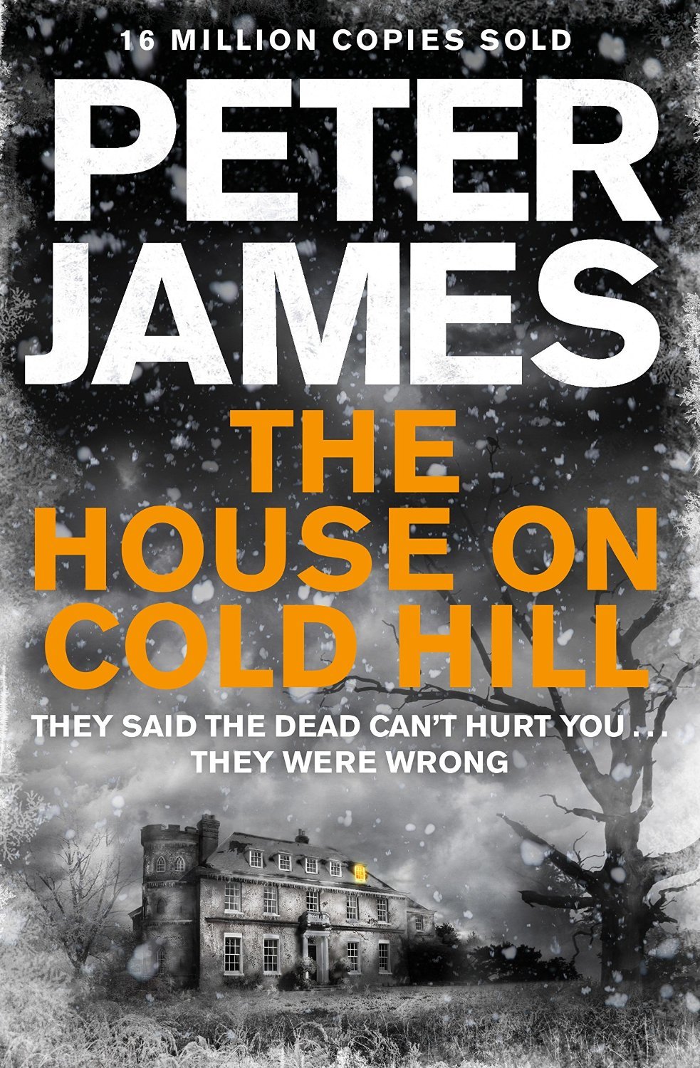 House on Cold Hill book cover 1