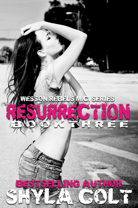 Wesson Rebel MC book cover 3