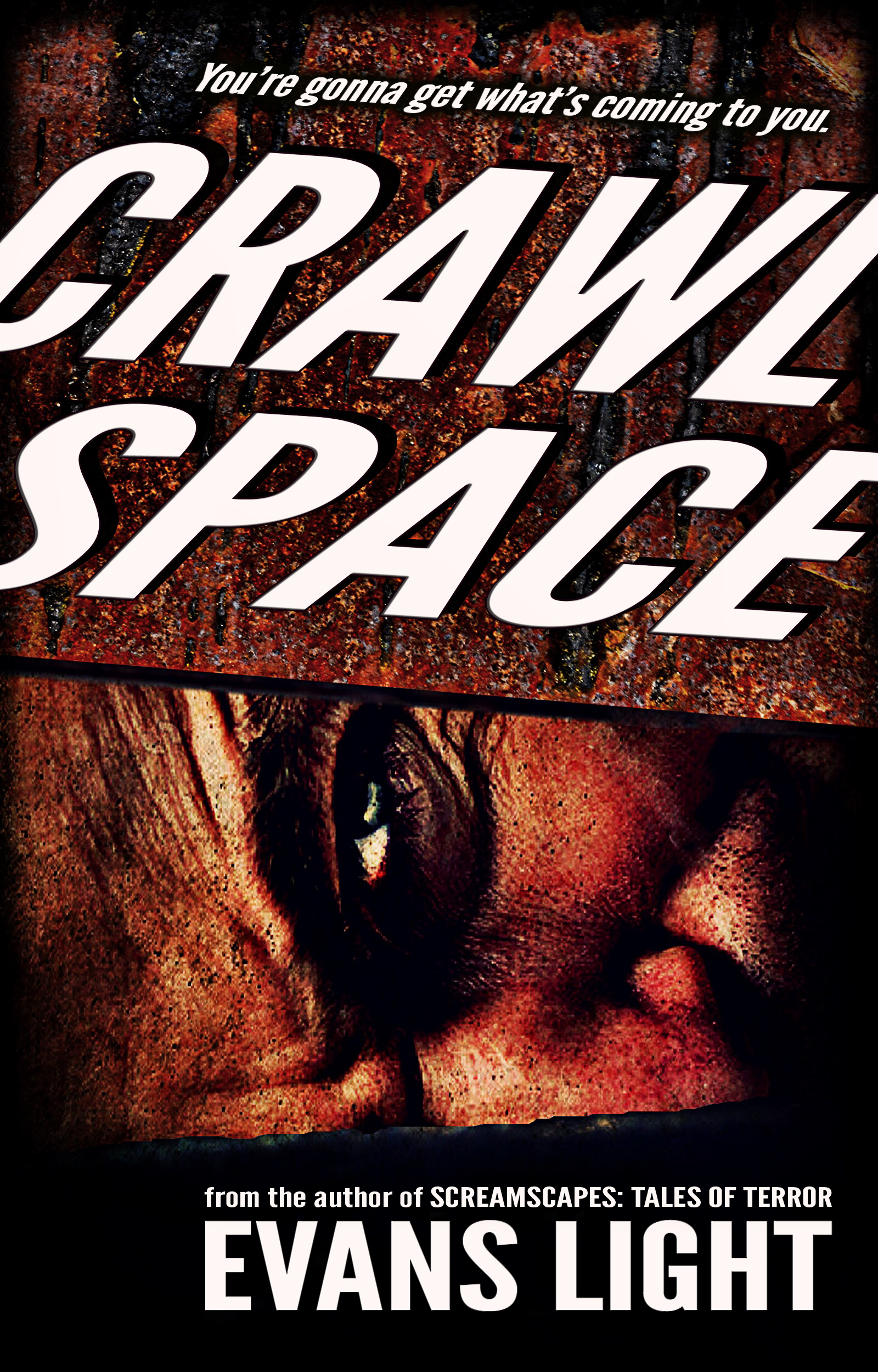 Crawlspace book cover