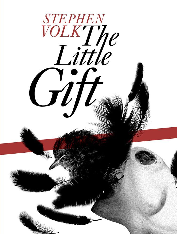 The Little Gift book cover
