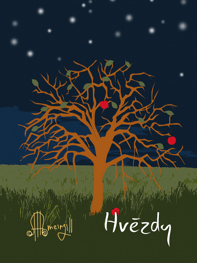 Hvězdy book cover