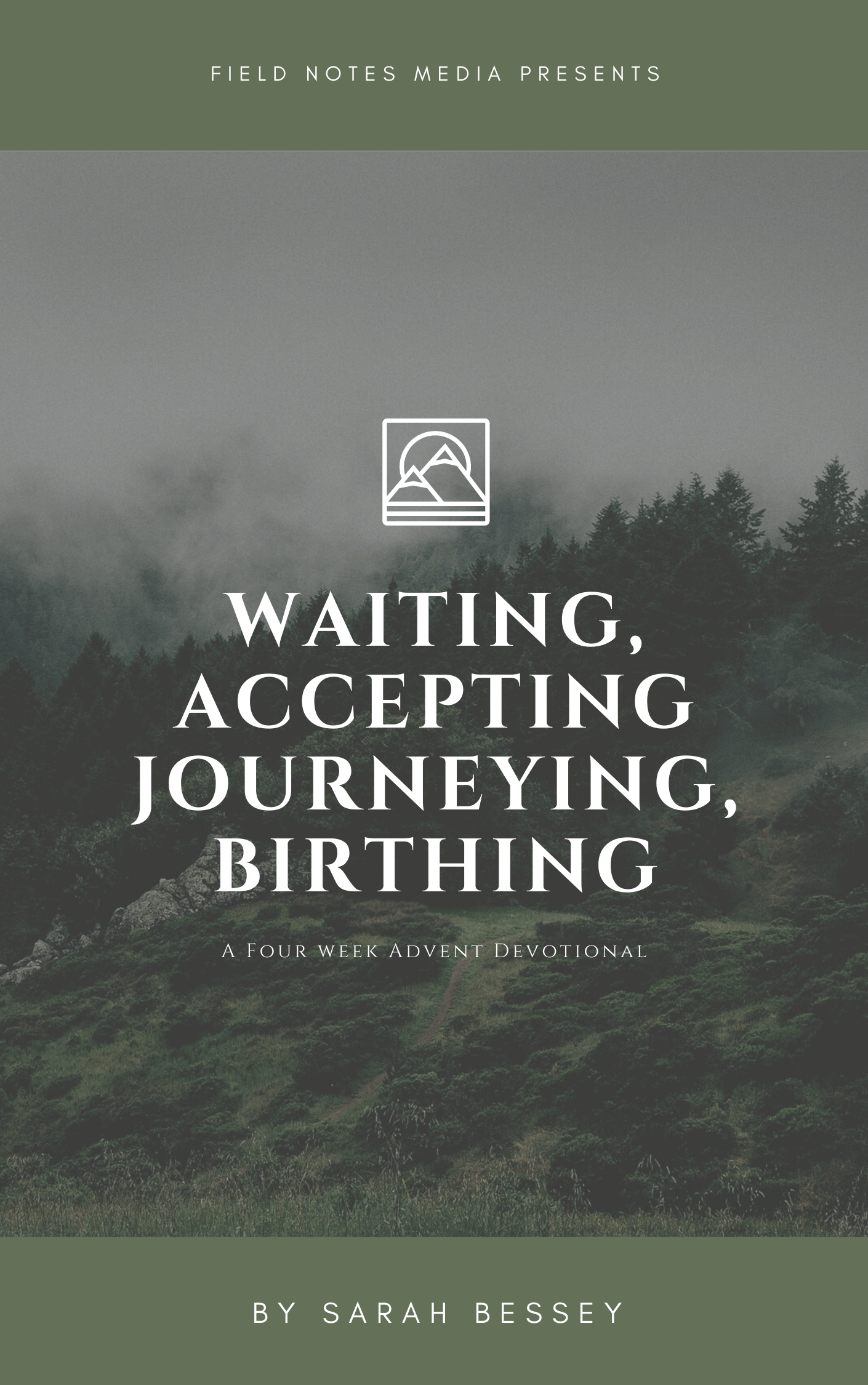 Waiting, Accepting, Journeying, Birthing book cover