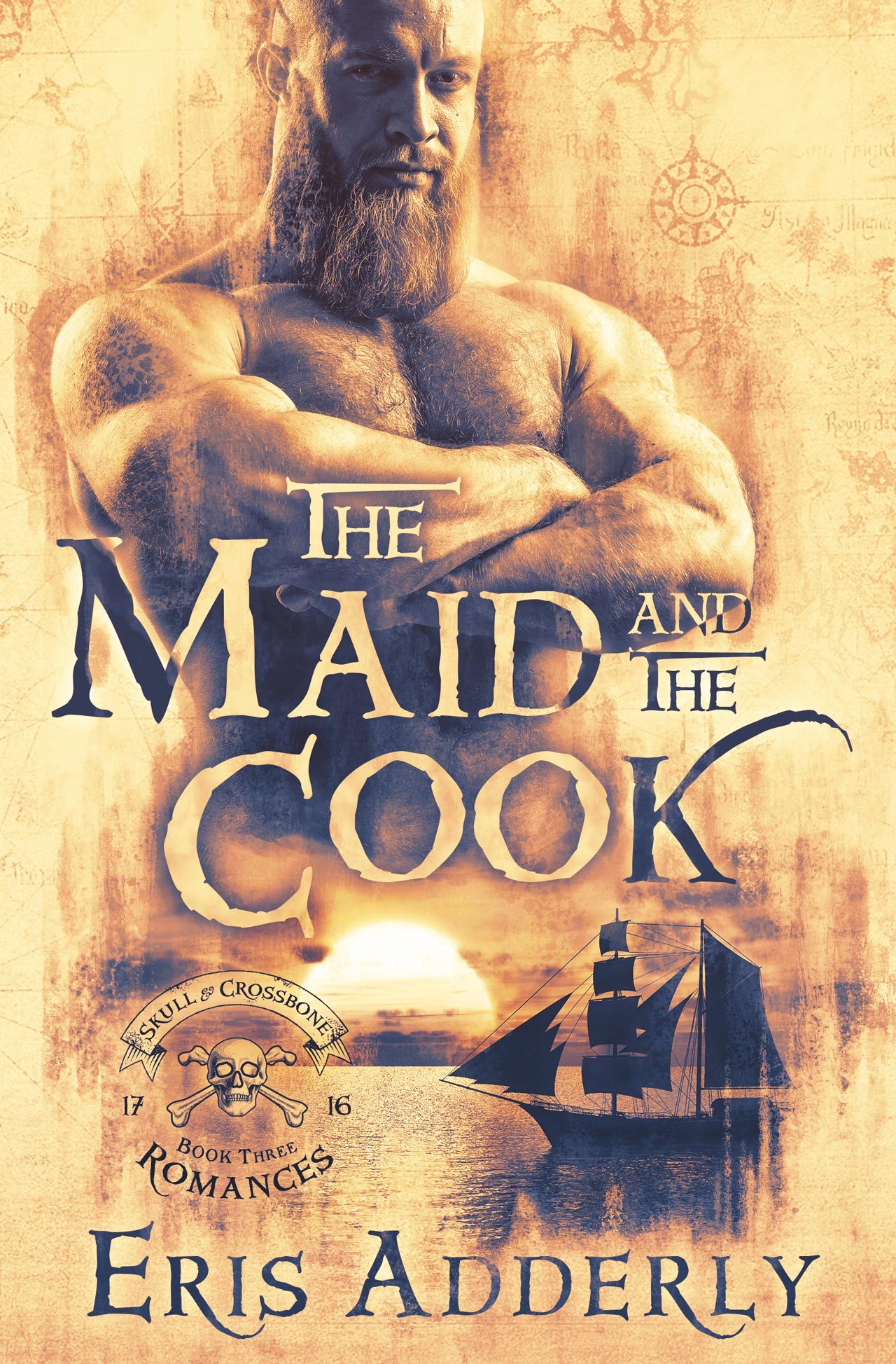 The Maid and The Cook book cover