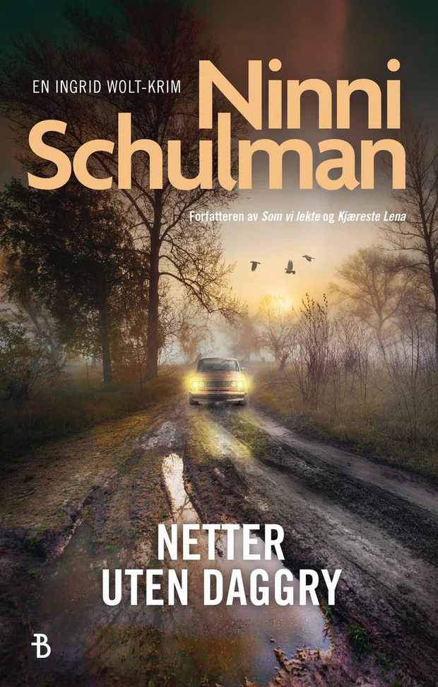Netter uten daggry book cover