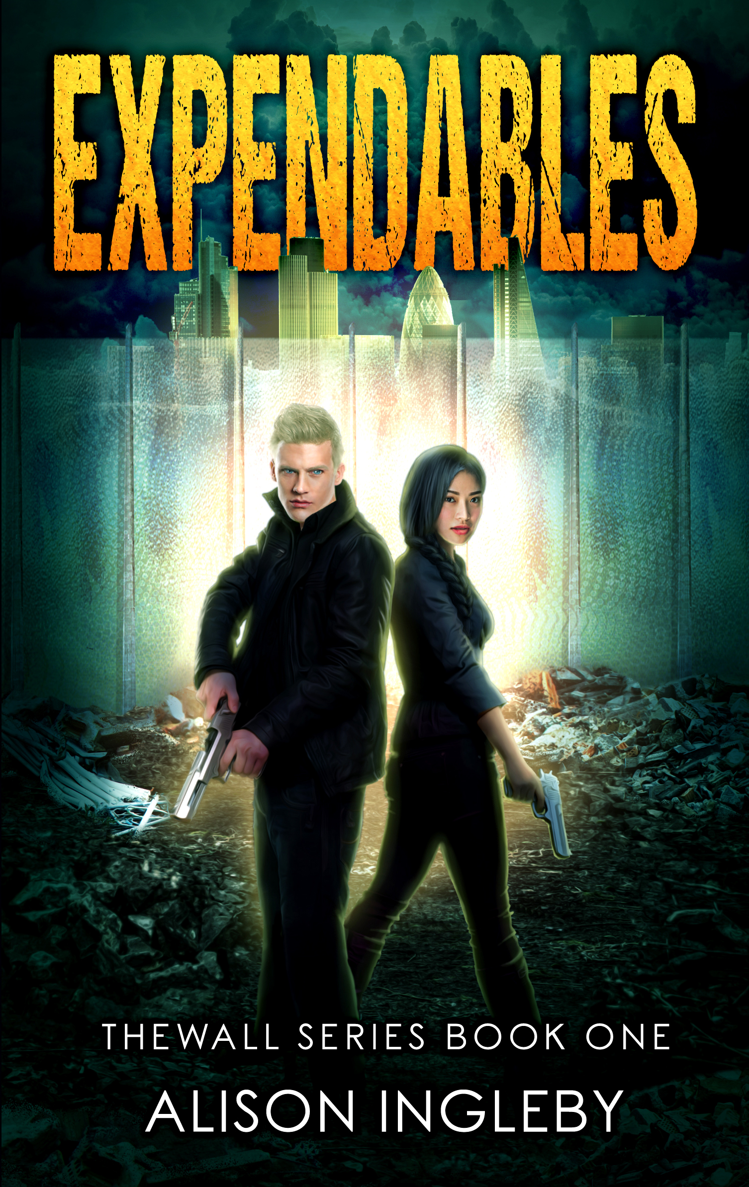 The Wall Series book cover 1