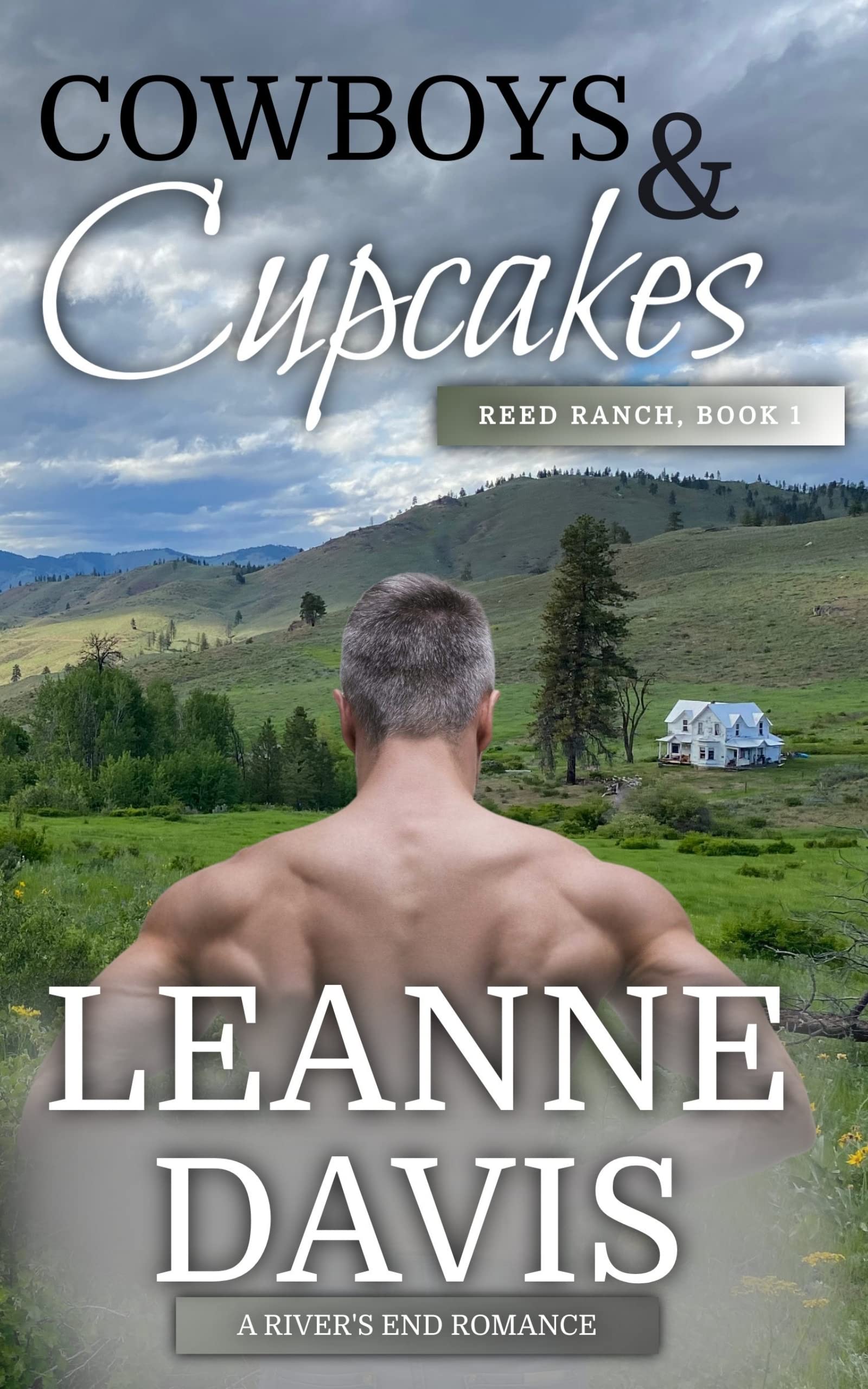 Cowboys & Cupcakes book cover
