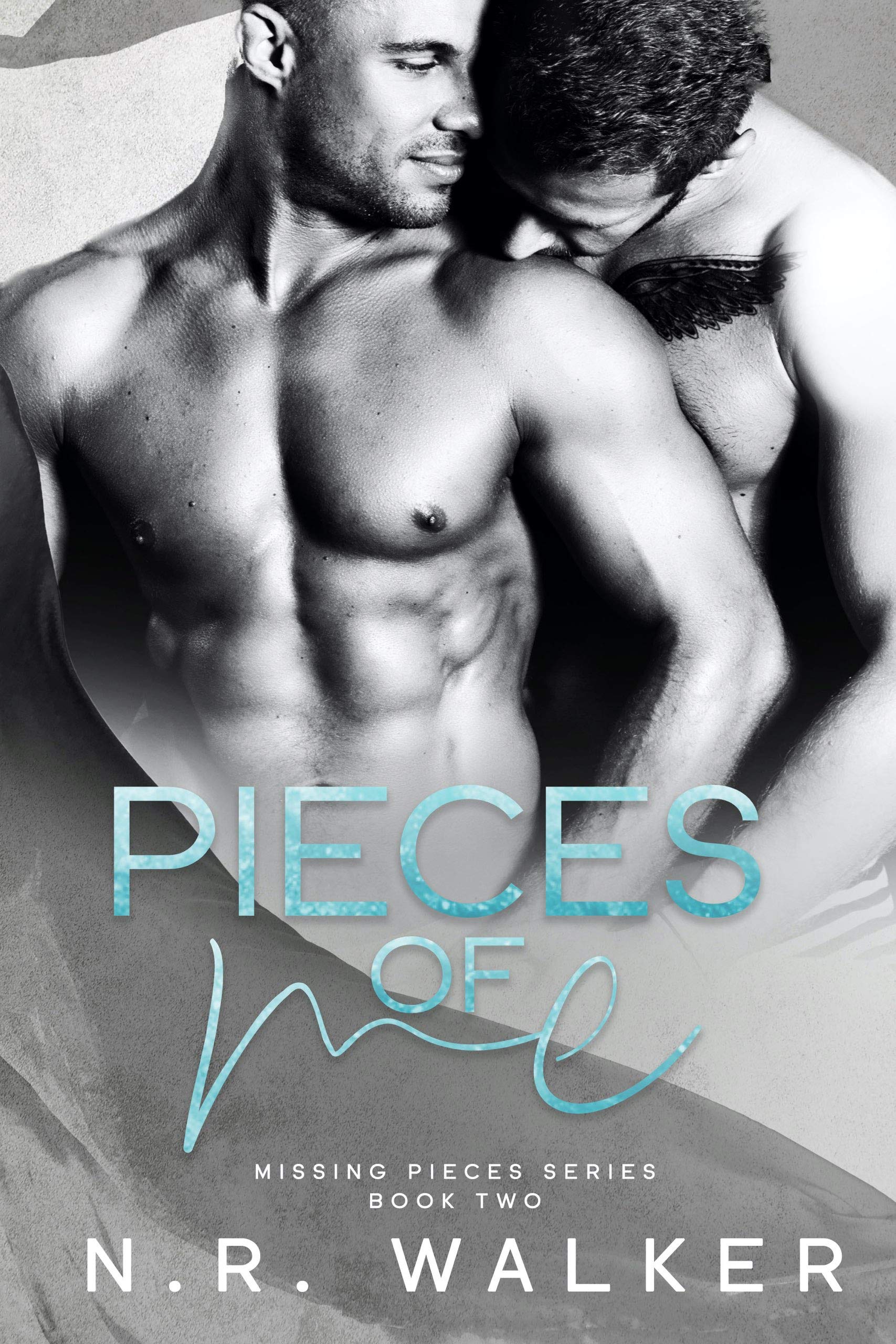 Missing Pieces book cover 2