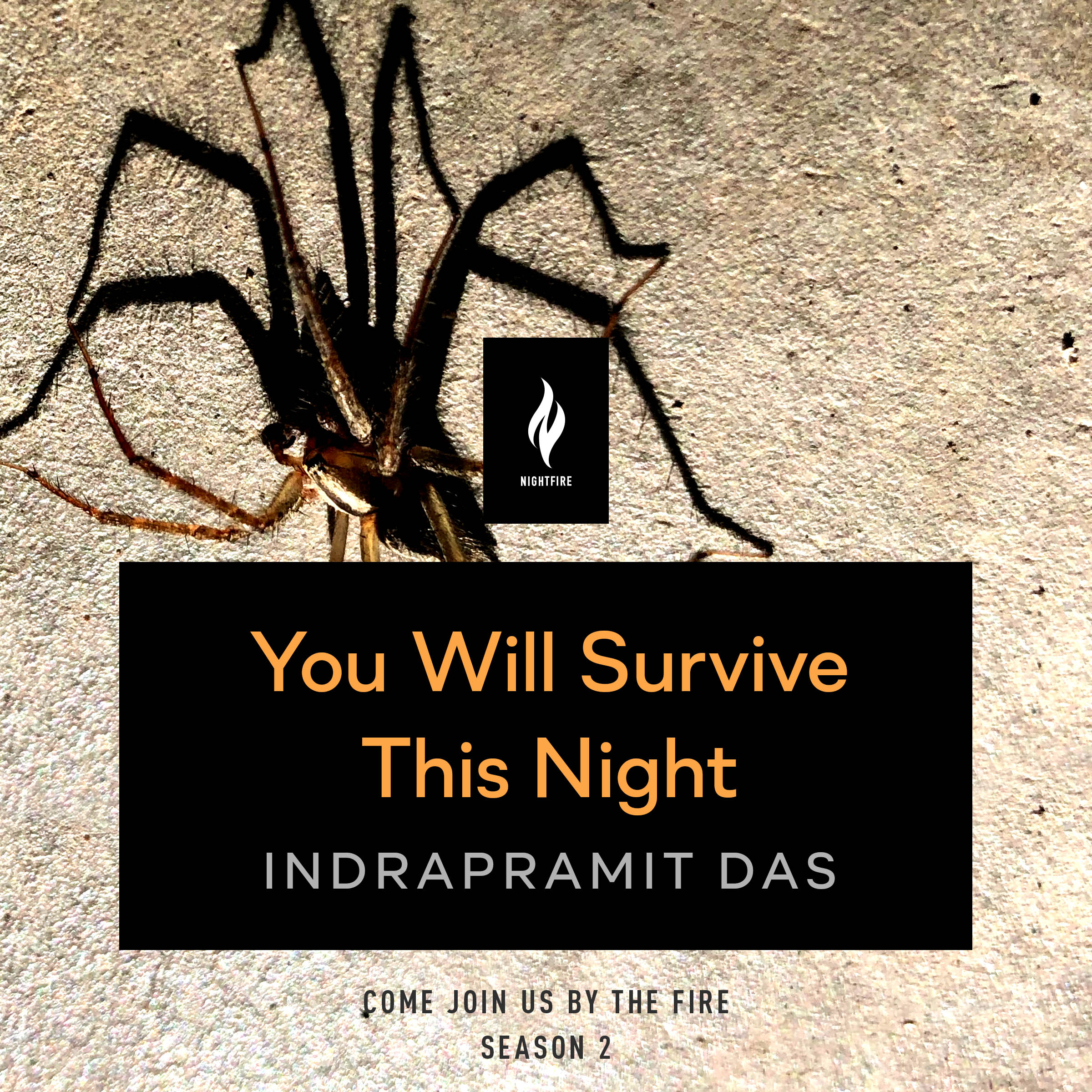 You Will Survive This Night book cover