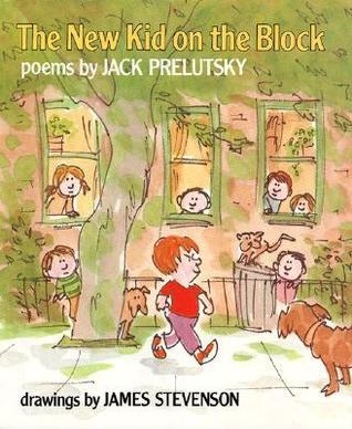 The New Kid on the Block book cover