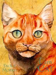 I Am Cat book cover