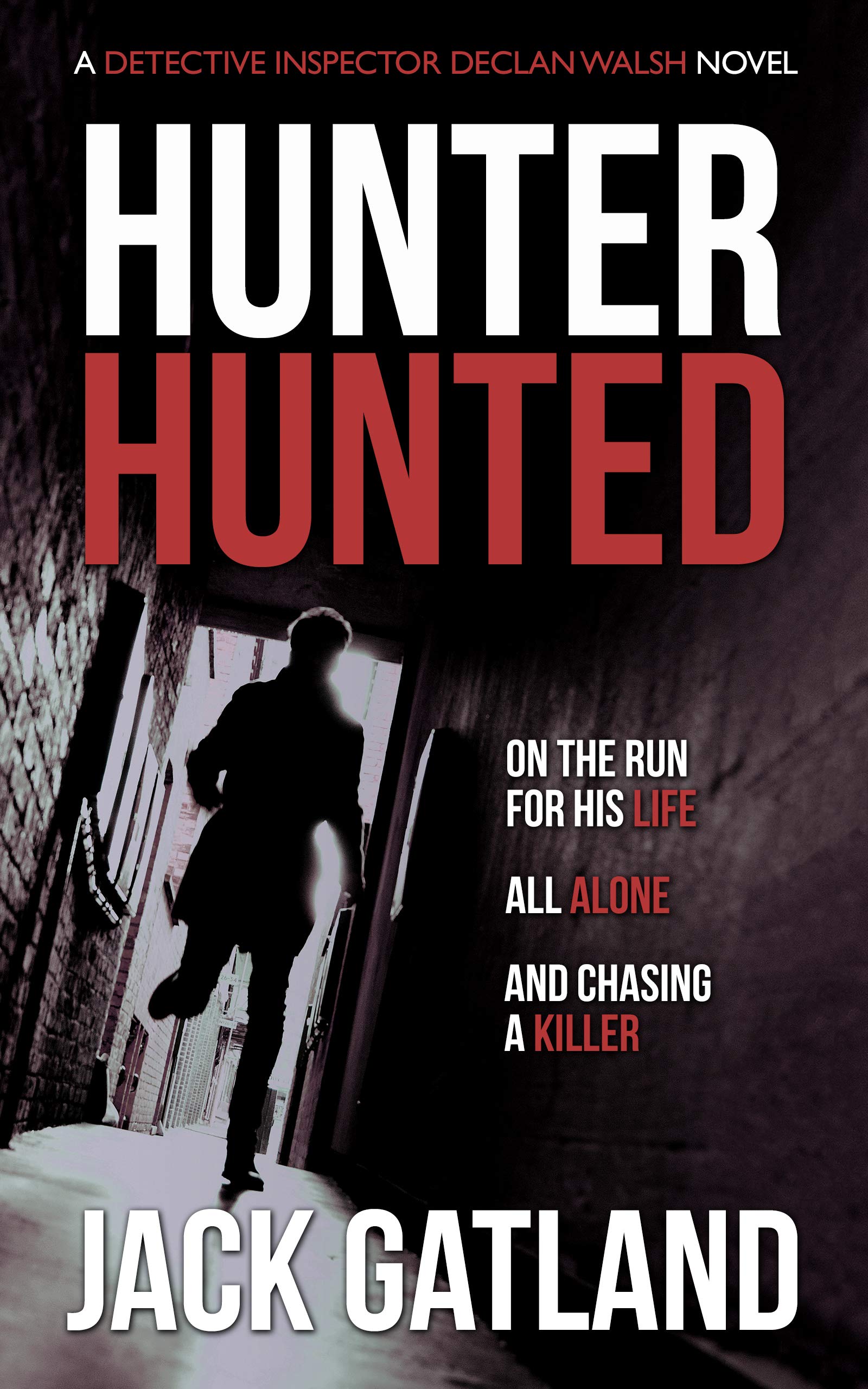 Detective Inspector Declan Walsh book cover 3