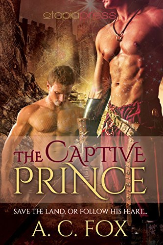 The Warriors of Love & Magic book cover 2