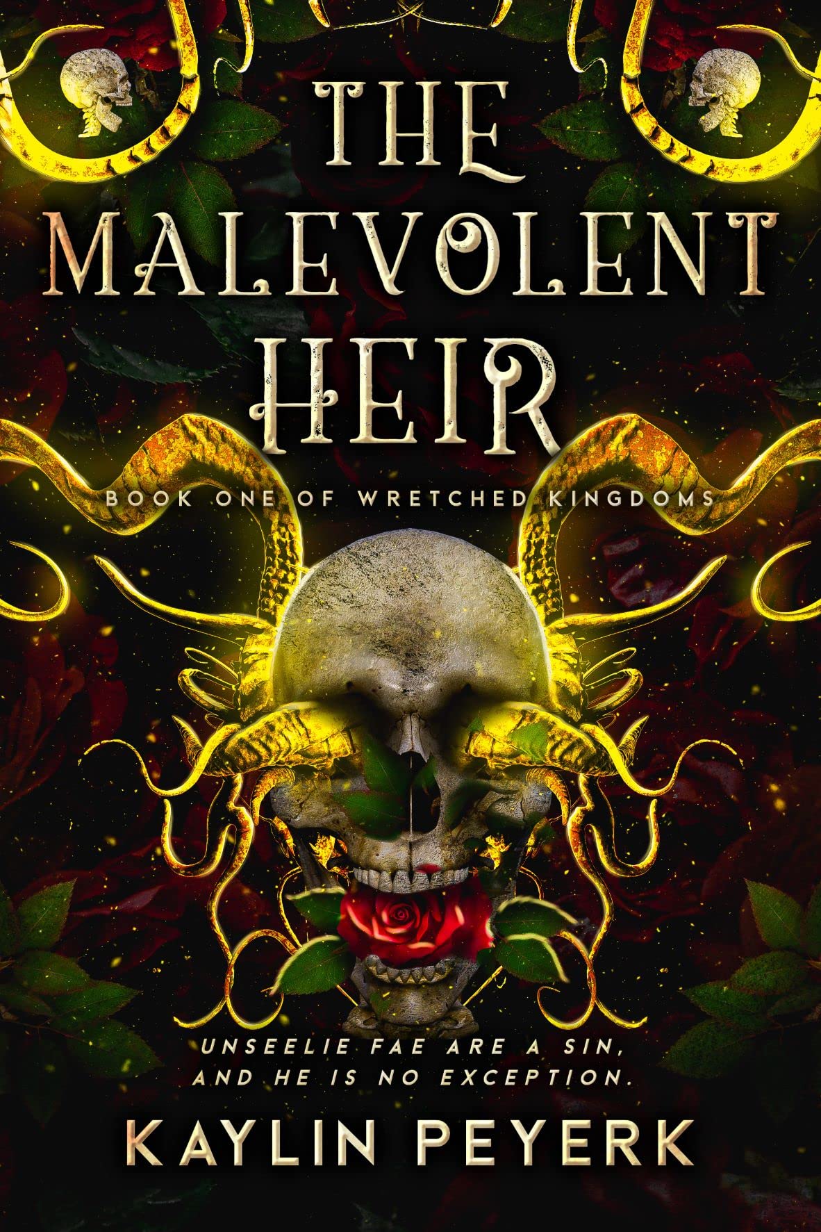 The Malevolent Heir book cover