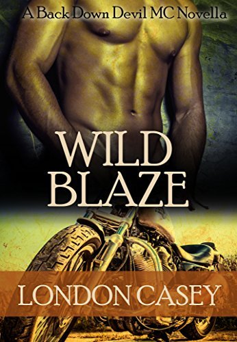 Wild Blaze book cover