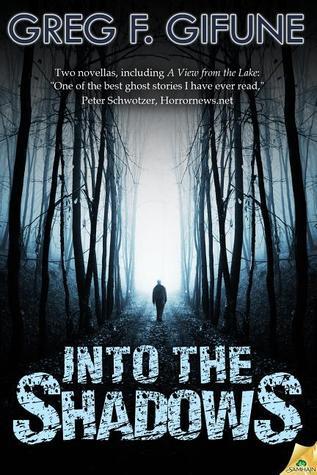 Into the Shadows book cover
