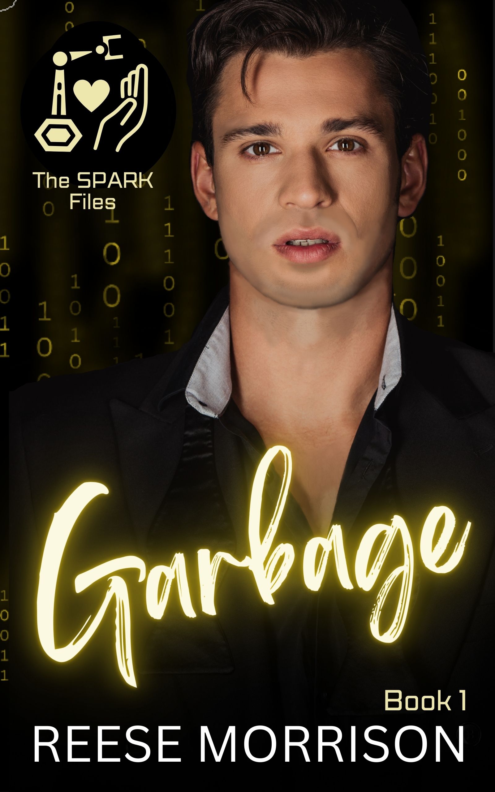 The SPARK Files book cover 1