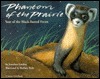 Phantom of the Prairie book cover