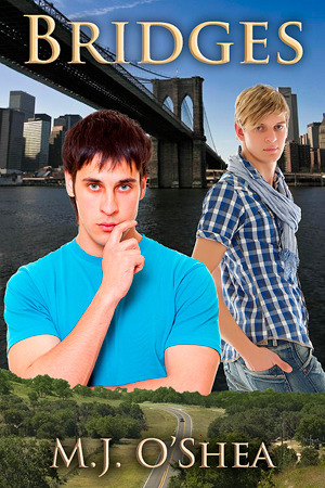 Bridges book cover 1