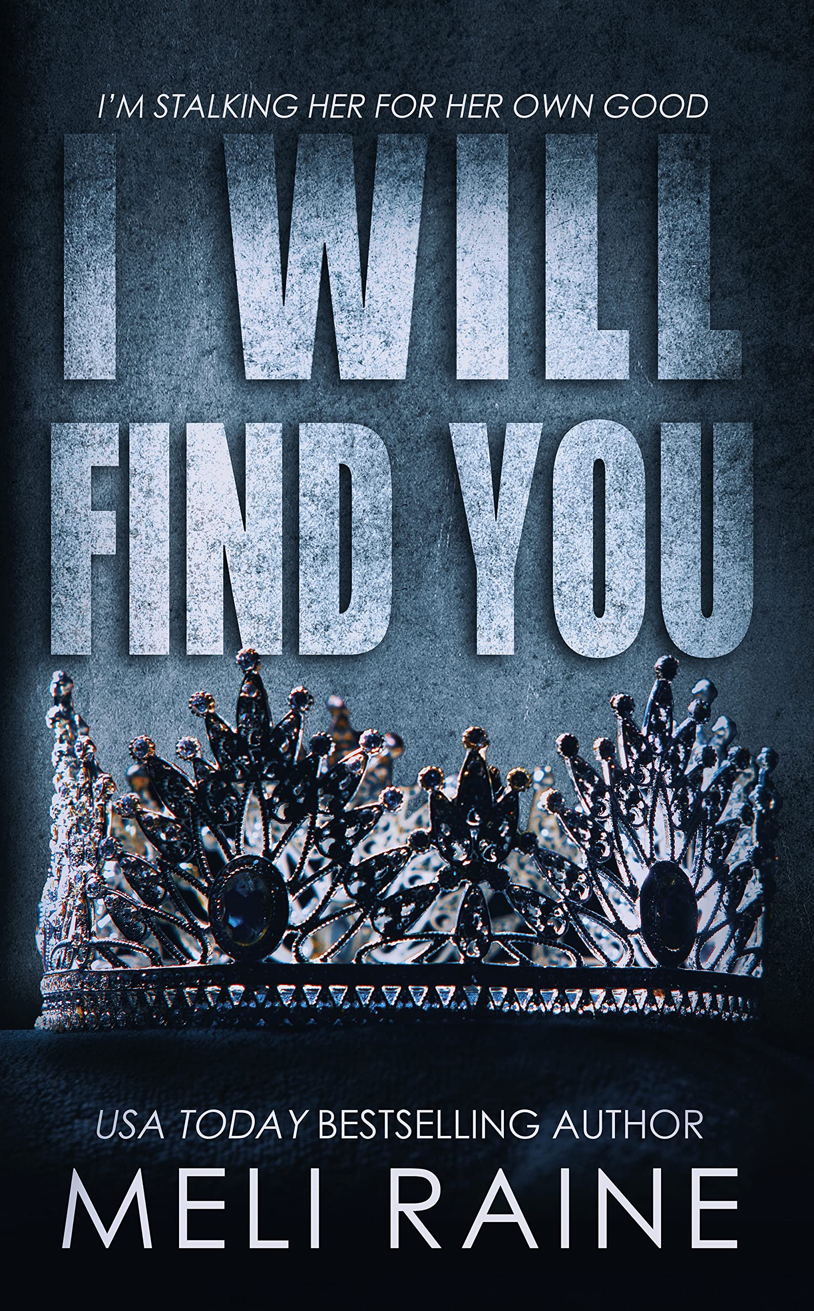 I Will Find You book cover