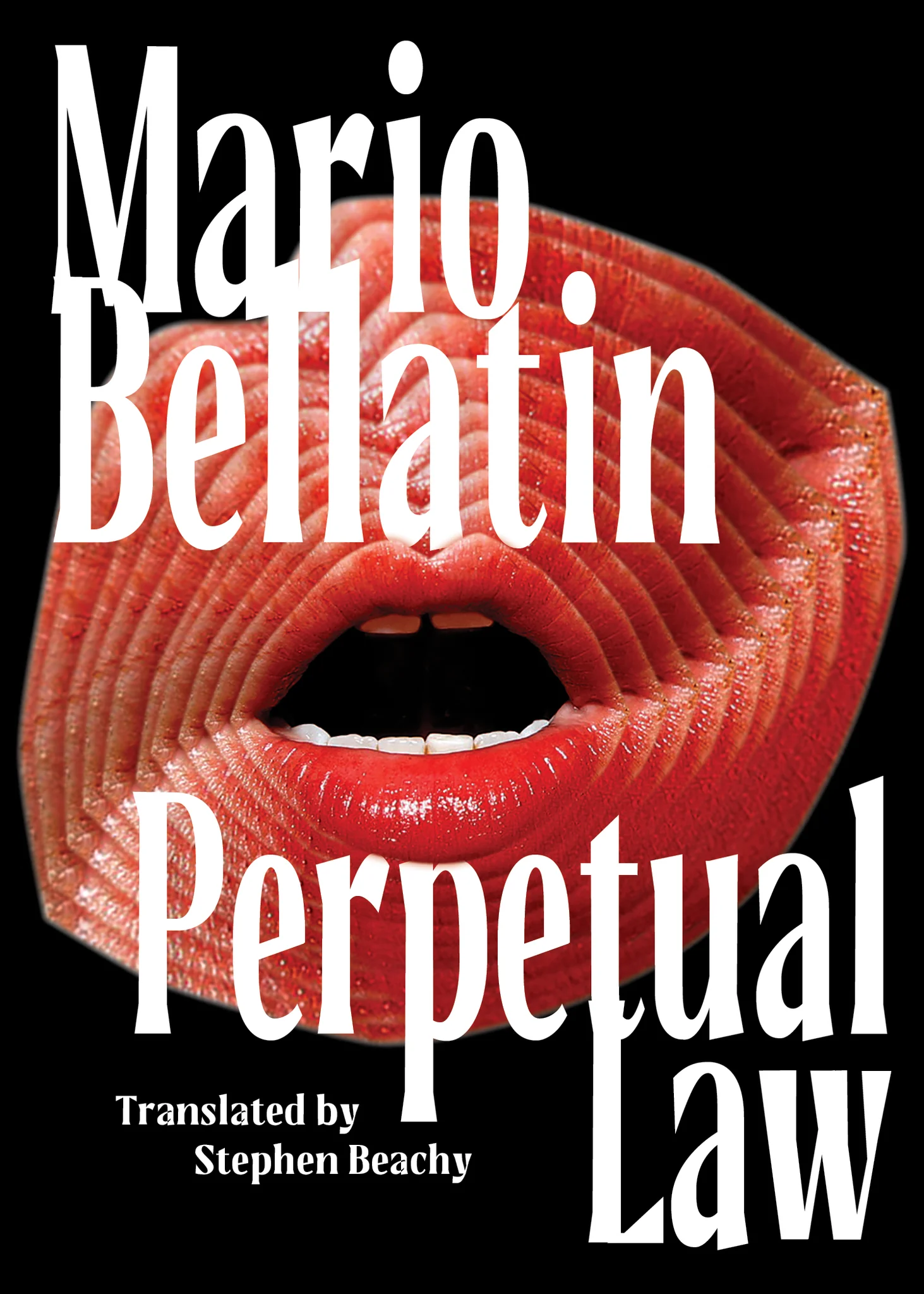 Perpetual Law book cover