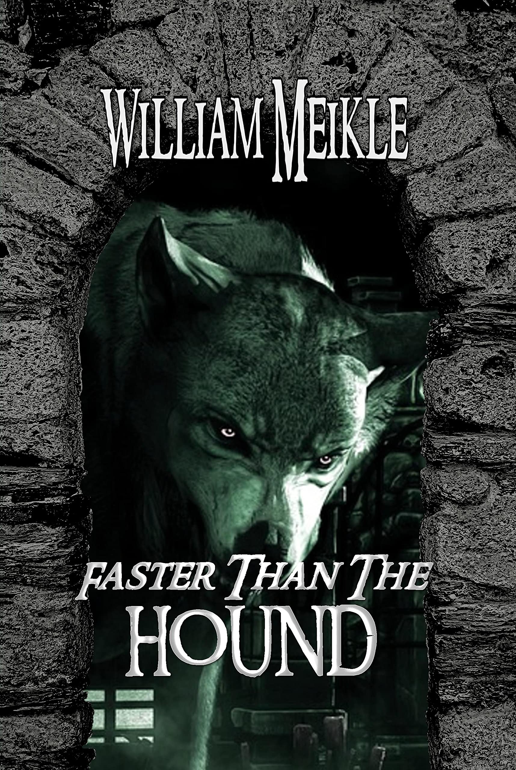 Faster Than The Hound book cover