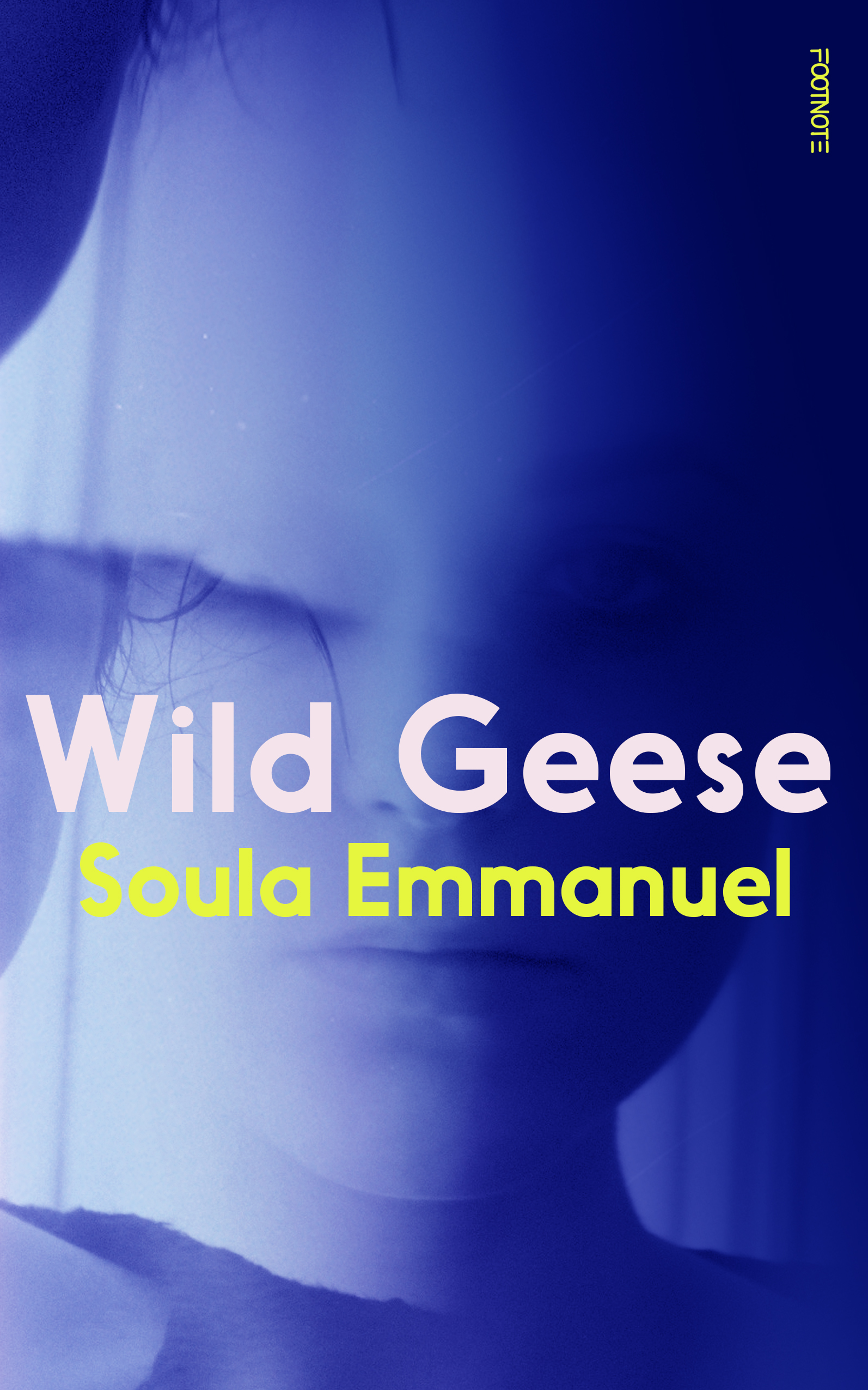 Wild Geese book cover