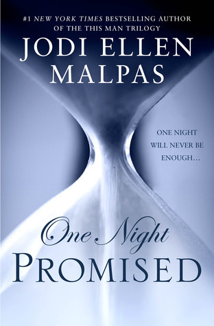 One Night book cover 1