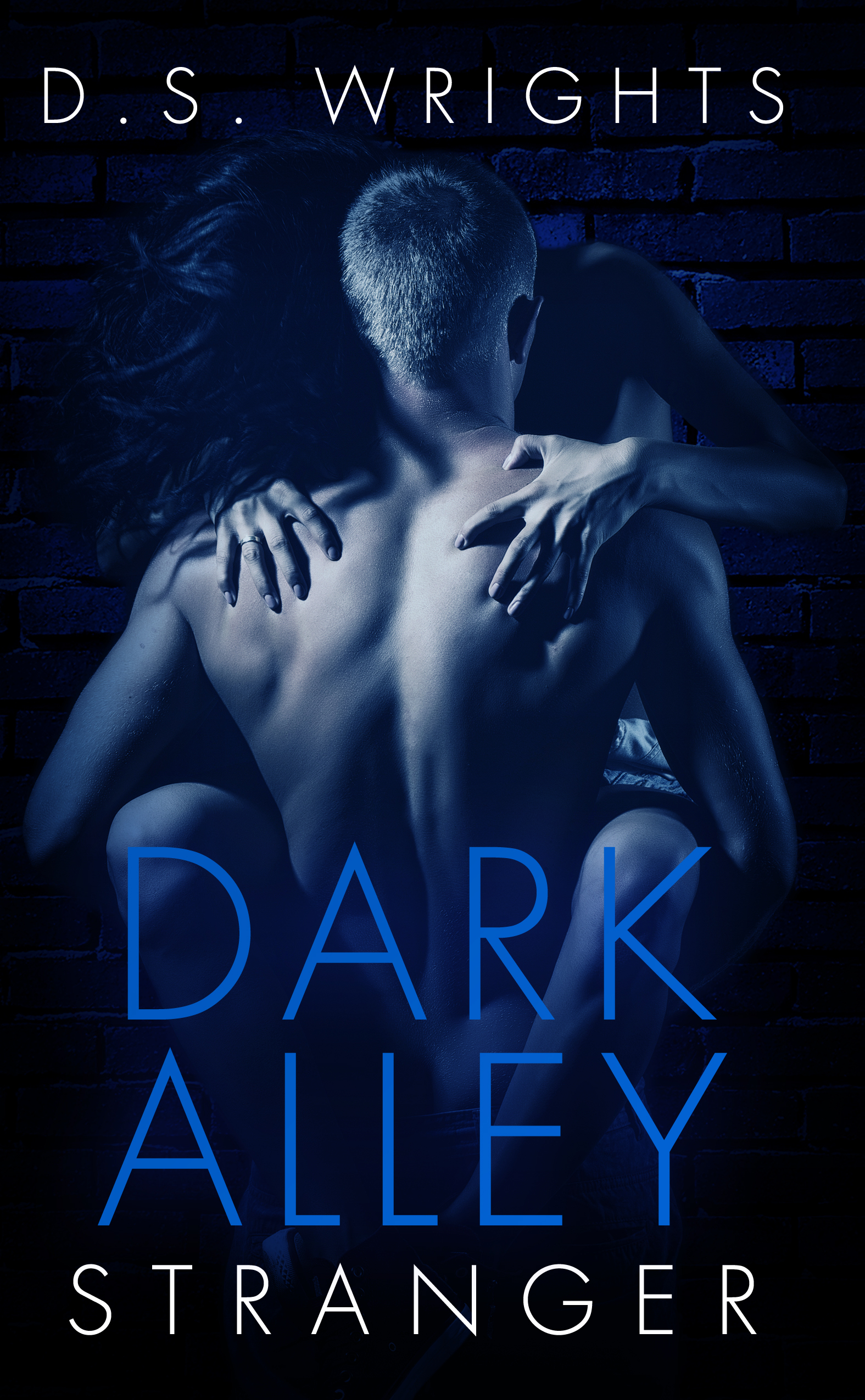 Dark Alley book cover