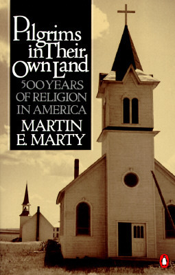 Pilgrims in Their Own Land book cover