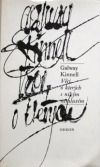 Věci, o kterých s nikým nemluvím book cover