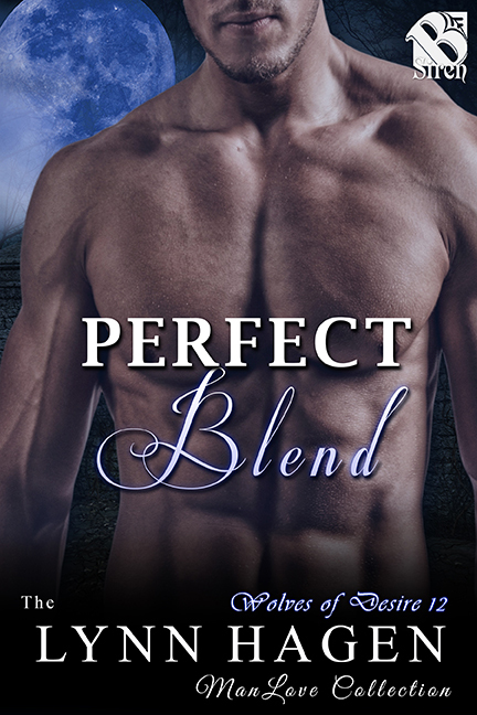 Perfect Blend book cover
