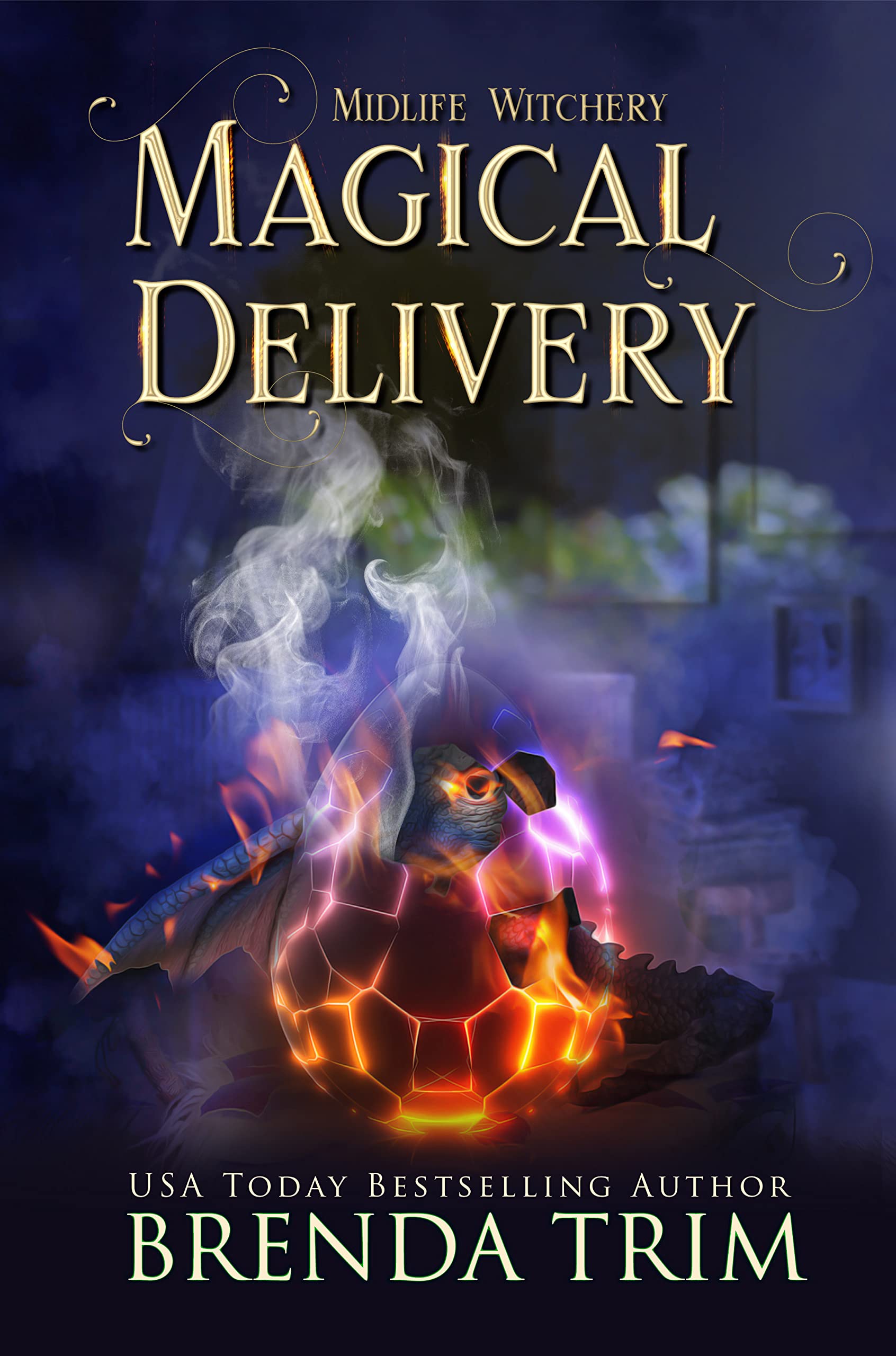 Magical Delivery book cover
