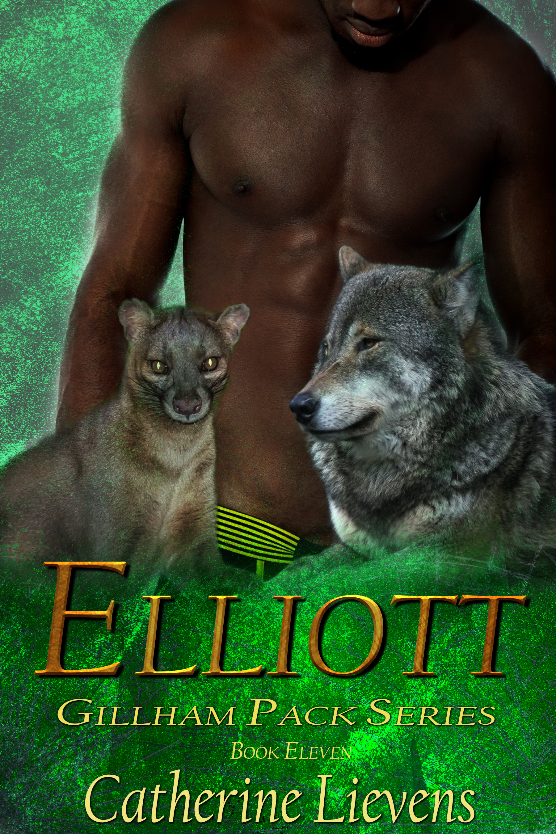 Elliott book cover