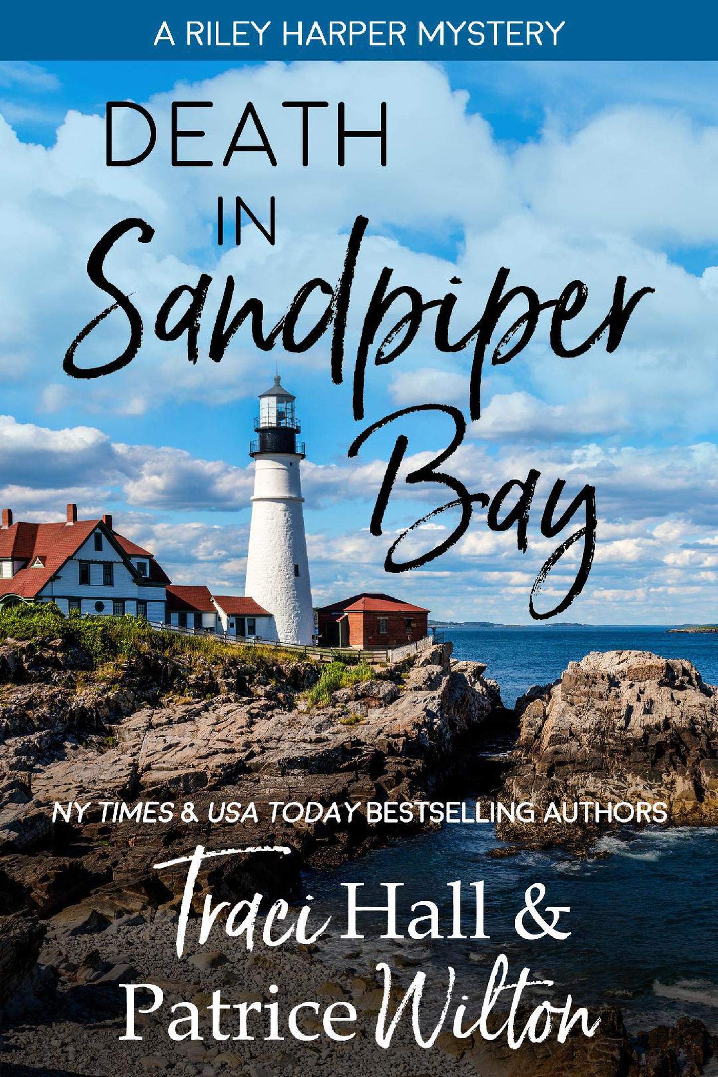 Riley Harper Mystery book cover 1