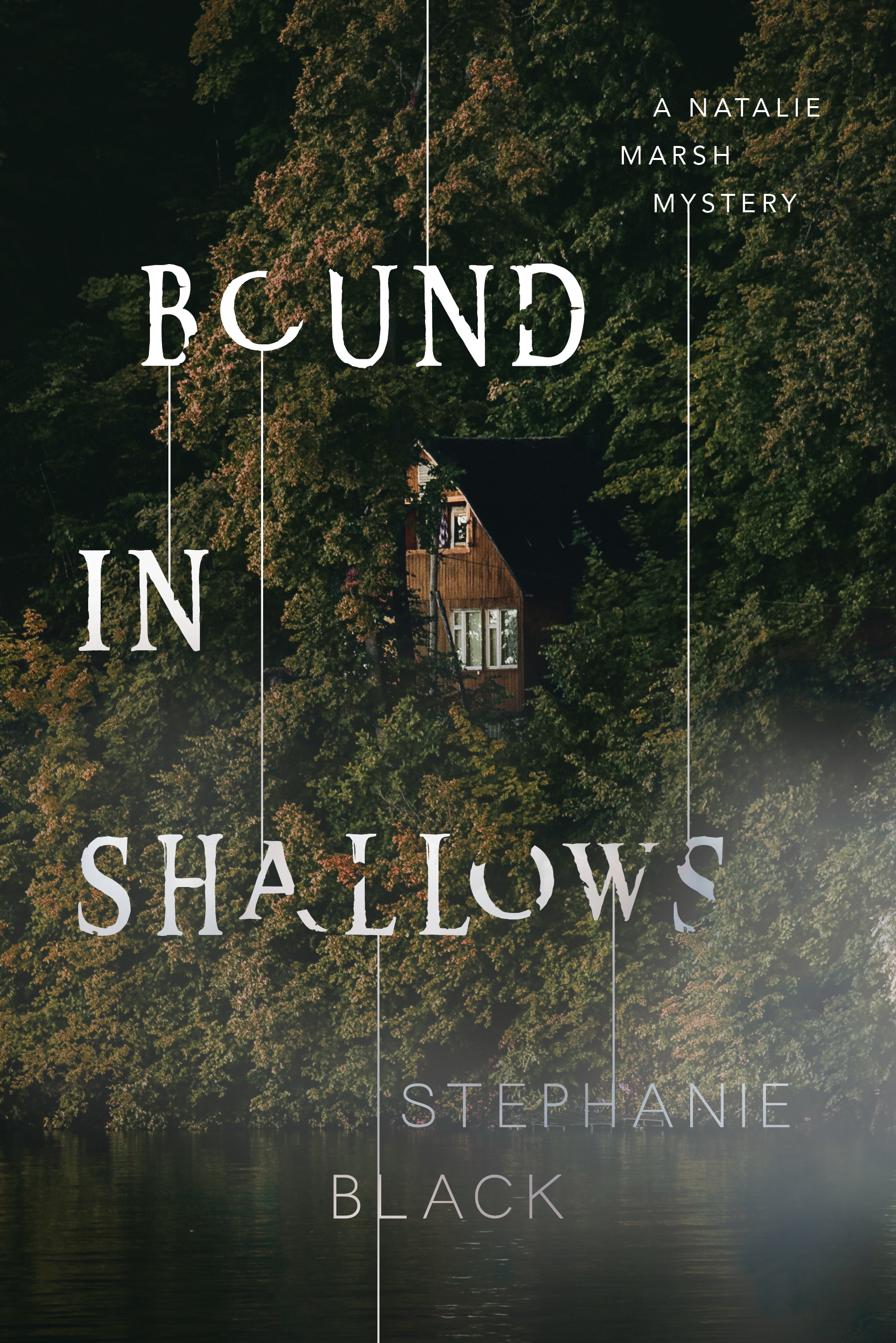 Bound In Shallows book cover