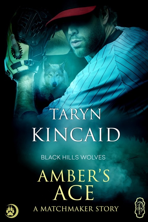 Amber's Ace book cover