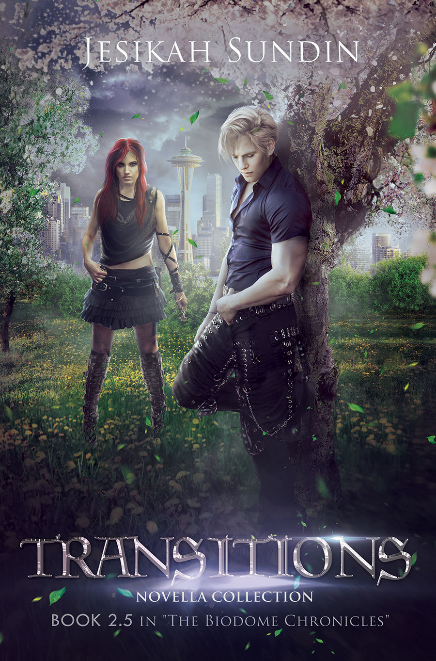 Transitions book cover