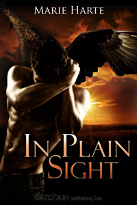 Cougar Falls book cover 2
