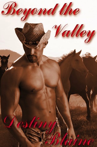 Beyond the Valley book cover