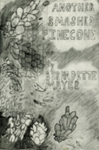 Another Smashed Pinecone book cover