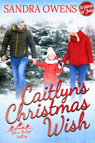 Caitlyn's Christmas Wish book cover