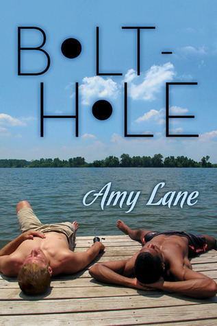 Bolt-Hole book cover