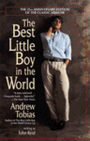 The Best Little Boy in the World book cover