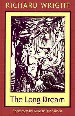 The Long Dream book cover