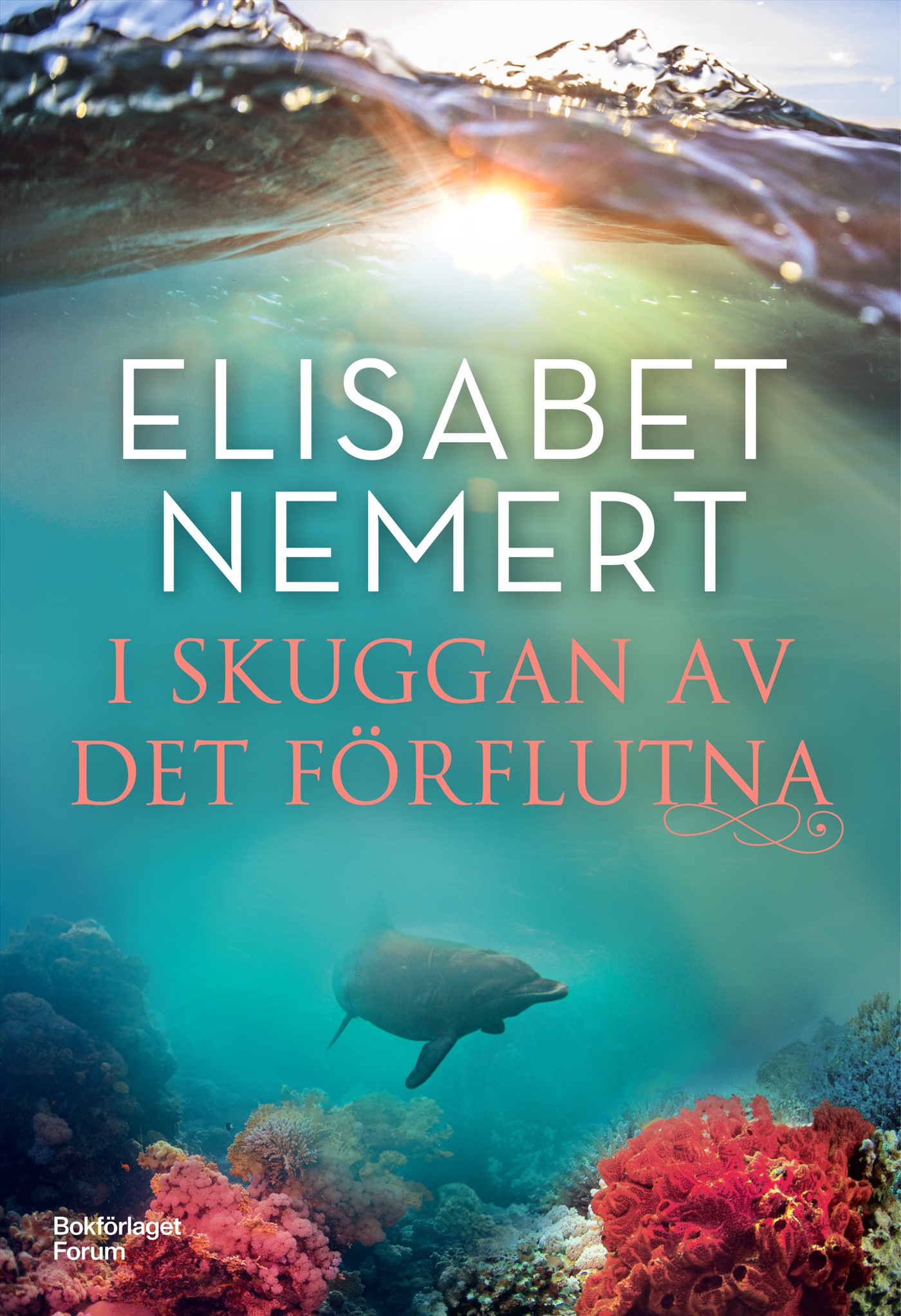 I skuggan av det förflutna book cover