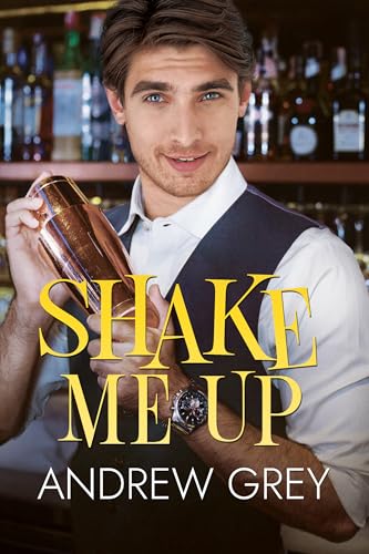 Shake Me Up book cover